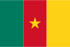 Direktsända tv-kanaler från  Kamerun 