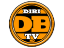 Se DiBi TV direkt