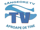 Se Sângeorz TV direkt