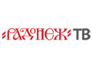 Se Radonezh TV direkt