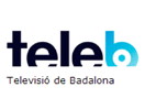 Se Tele B direkt