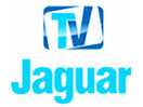 Se TV Jaguar direkt