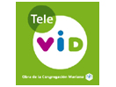 Se Tele Vid direkt