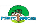 Se TV Raices direkt