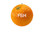 Se Fresh TV direkt