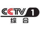 Se CCTV 1 direkt