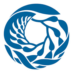 Monterey Bay Aquarium Live