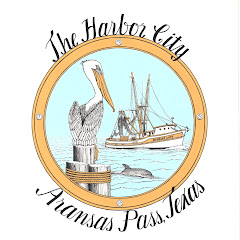 Se Aransas Pass Harbor Park Live Camera direkt